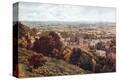 Stretched Canvas Print