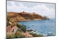 Giclee Print