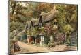 Giclee Print