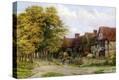 Stretched Canvas Print