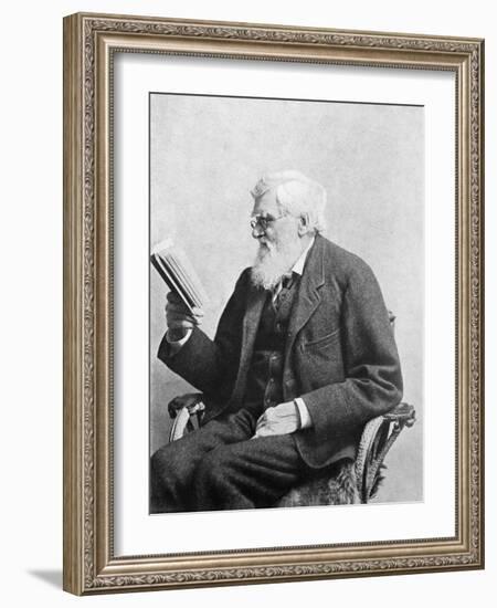 Alfred Russel Wallace, Welsh Naturalist-Science Source-Framed Giclee Print