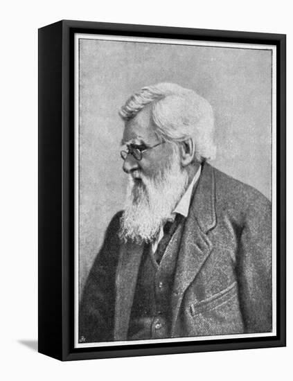 Alfred Russell Wallace, Welsh Naturalist, C1895-null-Framed Premier Image Canvas