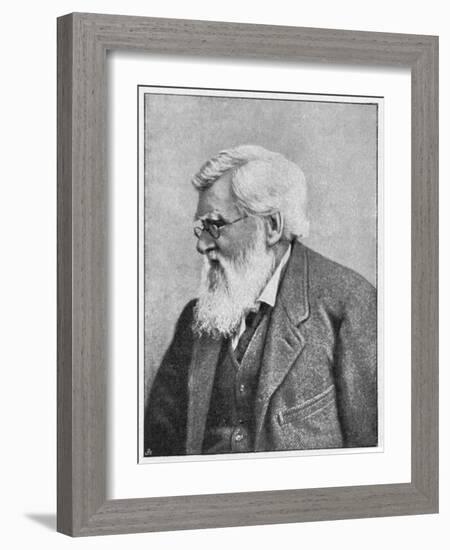 Alfred Russell Wallace, Welsh Naturalist, C1895-null-Framed Giclee Print