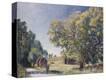 Stretched Canvas Print