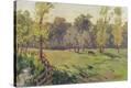 Stretched Canvas Print
