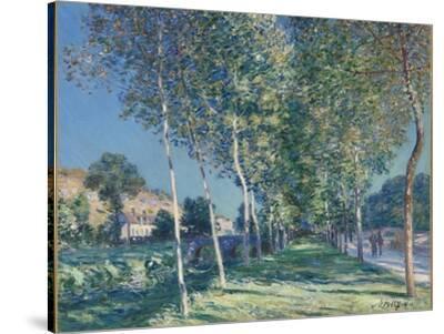 Allée de peupliers aux environs de Moret-sur-Loing Giclee Print