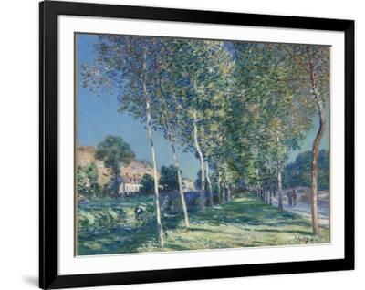 Allée de peupliers aux environs de Moret-sur-Loing Giclee Print