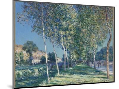 Allée de peupliers aux environs de Moret-sur-Loing Giclee Print