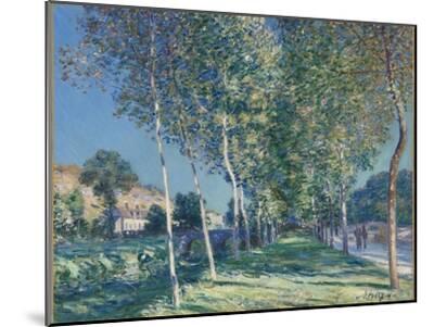アルフレッド・シスレーL'ALLEE DES PEUPLIERS A MORET alfred-sisley-allee-de-