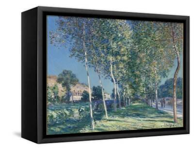 Allée de peupliers aux environs de Moret-sur-Loing Giclee Print