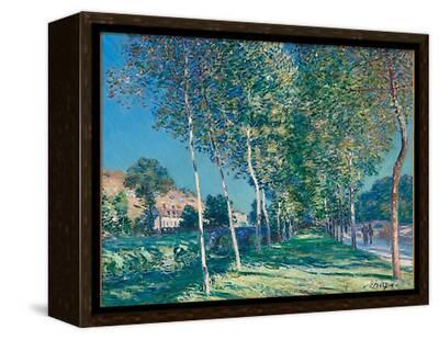 Allée de peupliers aux environs de Moret-sur-Loing Giclee Print