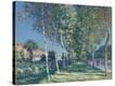 Stretched Canvas Print