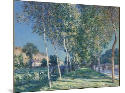 alfred-sisley-allee-de-