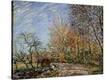 Stretched Canvas Print