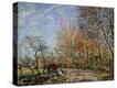 Stretched Canvas Print