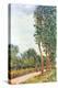 Stretched Canvas Print