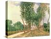 Stretched Canvas Print