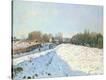 Stretched Canvas Print