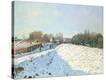 Stretched Canvas Print