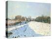 Stretched Canvas Print