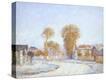 Stretched Canvas Print