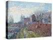 Stretched Canvas Print