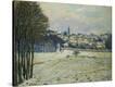 Stretched Canvas Print
