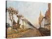 Stretched Canvas Print