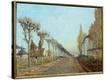 Stretched Canvas Print