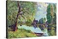 Stretched Canvas Print