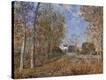 Stretched Canvas Print
