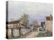 Stretched Canvas Print