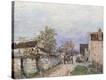 Stretched Canvas Print