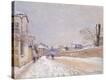 Stretched Canvas Print