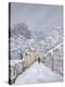Stretched Canvas Print