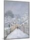 Giclee Print