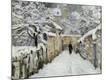 Premium Giclee Print
