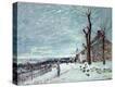 Stretched Canvas Print