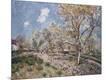 Giclee Print