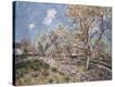 Stretched Canvas Print