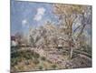 Giclee Print