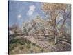 Stretched Canvas Print
