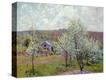 Stretched Canvas Print