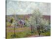 Stretched Canvas Print