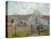 Stretched Canvas Print