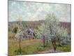 Premium Giclee Print