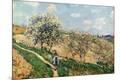 Premium Giclee Print