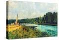 Stretched Canvas Print