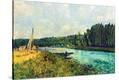 Stretched Canvas Print
