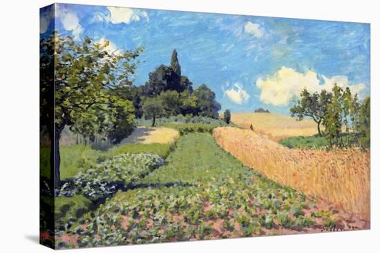 Stretched Canvas Print, , large